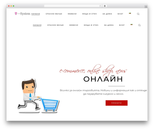 Arabesque WordPress theme - tillbehrenssysteme.de