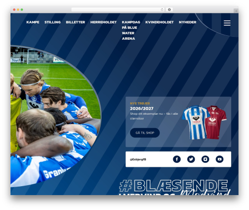 efb WordPress theme - efb.dk
