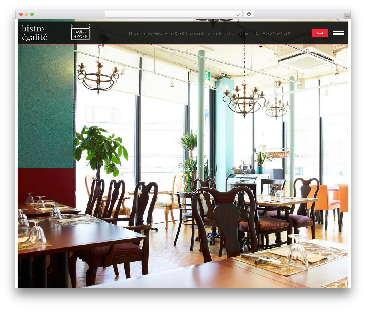 Hello-child WordPress theme - bistroegalite.com
