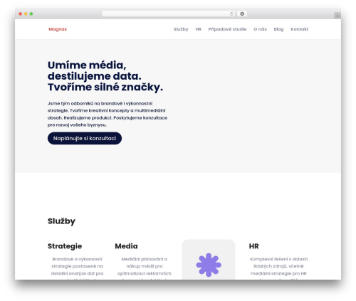 WordPress theme Divi - magnas.cz