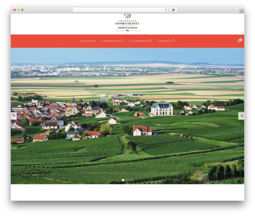 WordPress theme Primrose - maison-damien-buffet.com