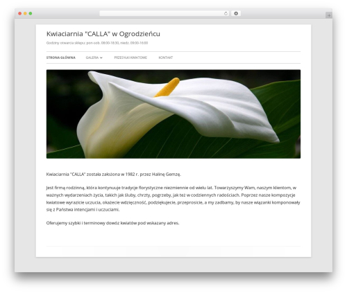 Tiny Framework WordPress theme - kwiaciarniacalla.eu Tiny Framework WordPress theme - kwiaciarniacalla.eu
