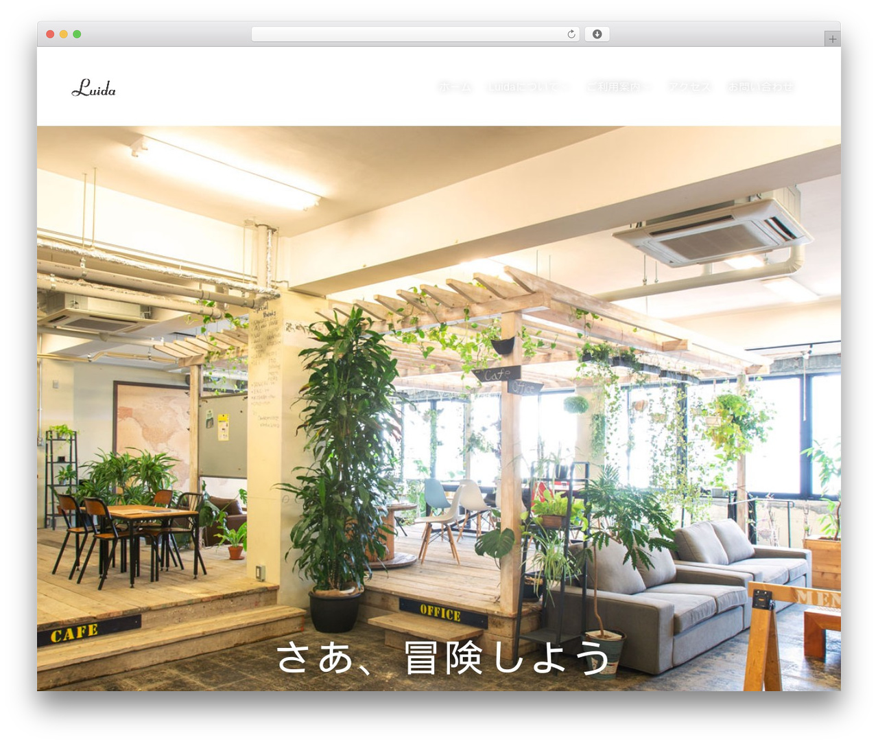 WordPress theme Rare - luida-coworking.com