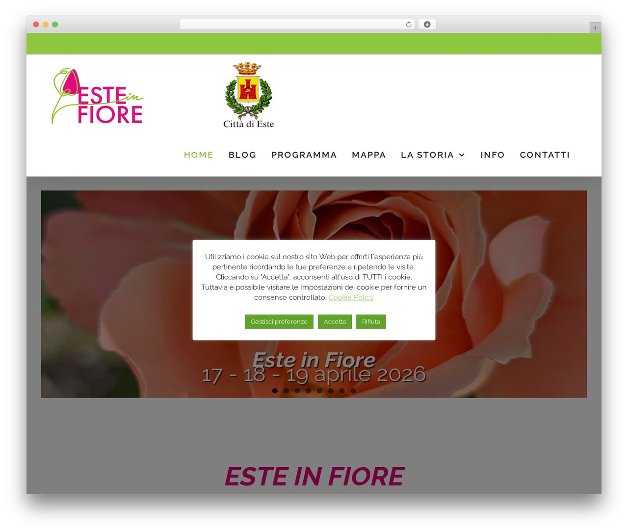 WP theme Avada Child - esteinfiore.it WP theme Avada Child - esteinfiore.it