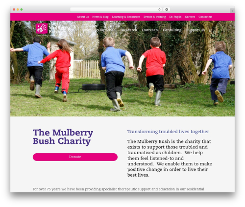 Theme WordPress Divi - mulberrybush.org.uk