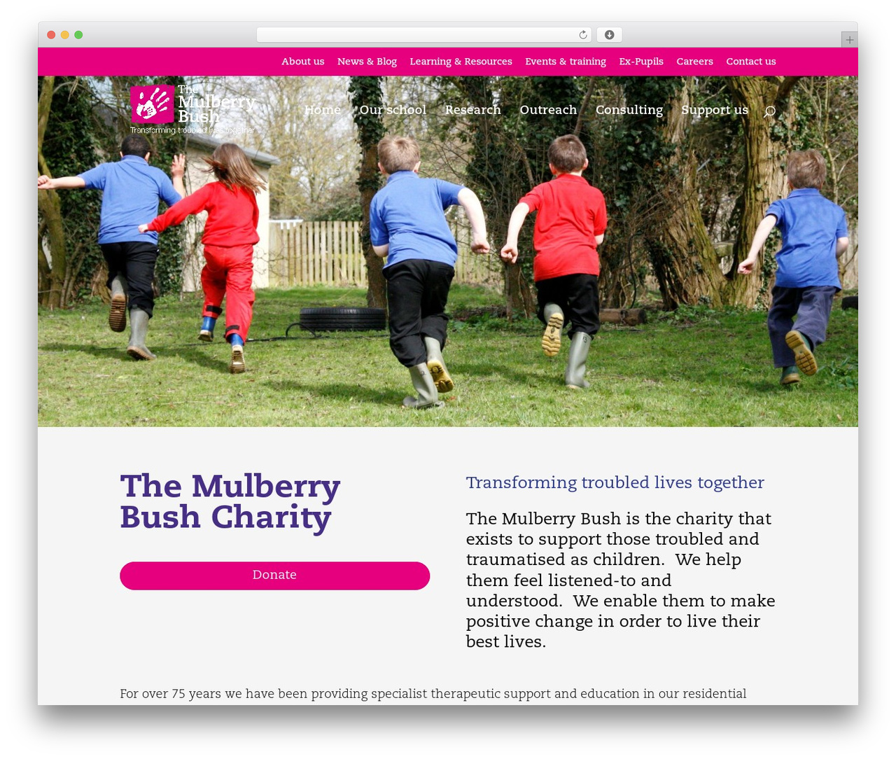 Theme WordPress Divi - mulberrybush.org.uk Theme WordPress Divi - mulberrybush.org.uk