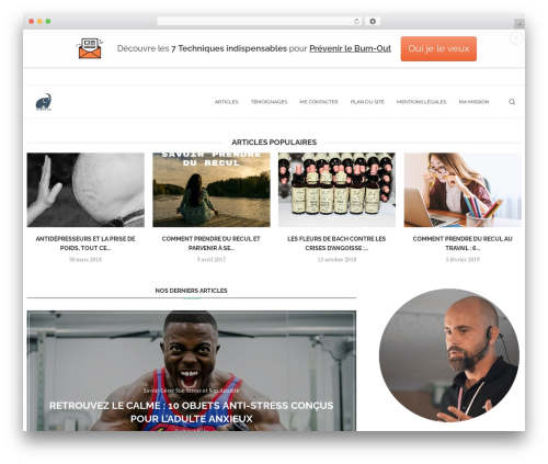 Affimax WordPress plugin - monburnoutamoi.fr