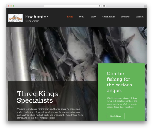 Cherry Framework WordPress theme - enchanter.co.nz