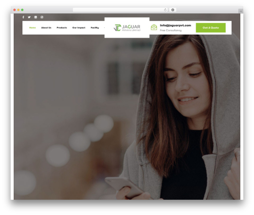 Finanix WordPress theme - jaguarpvt.com