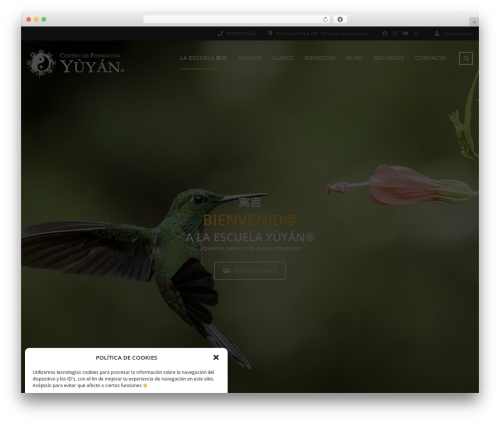 Stm post type WordPress plugin - yuyan.es