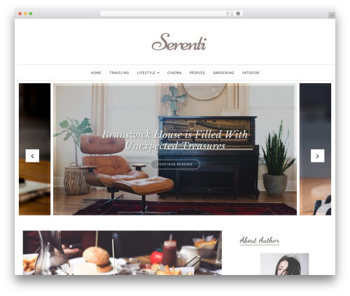 Orange Themes Custom Widgets (orange-themes-custom-widgets) free WordPress plugin - serenti.mozthemes.com