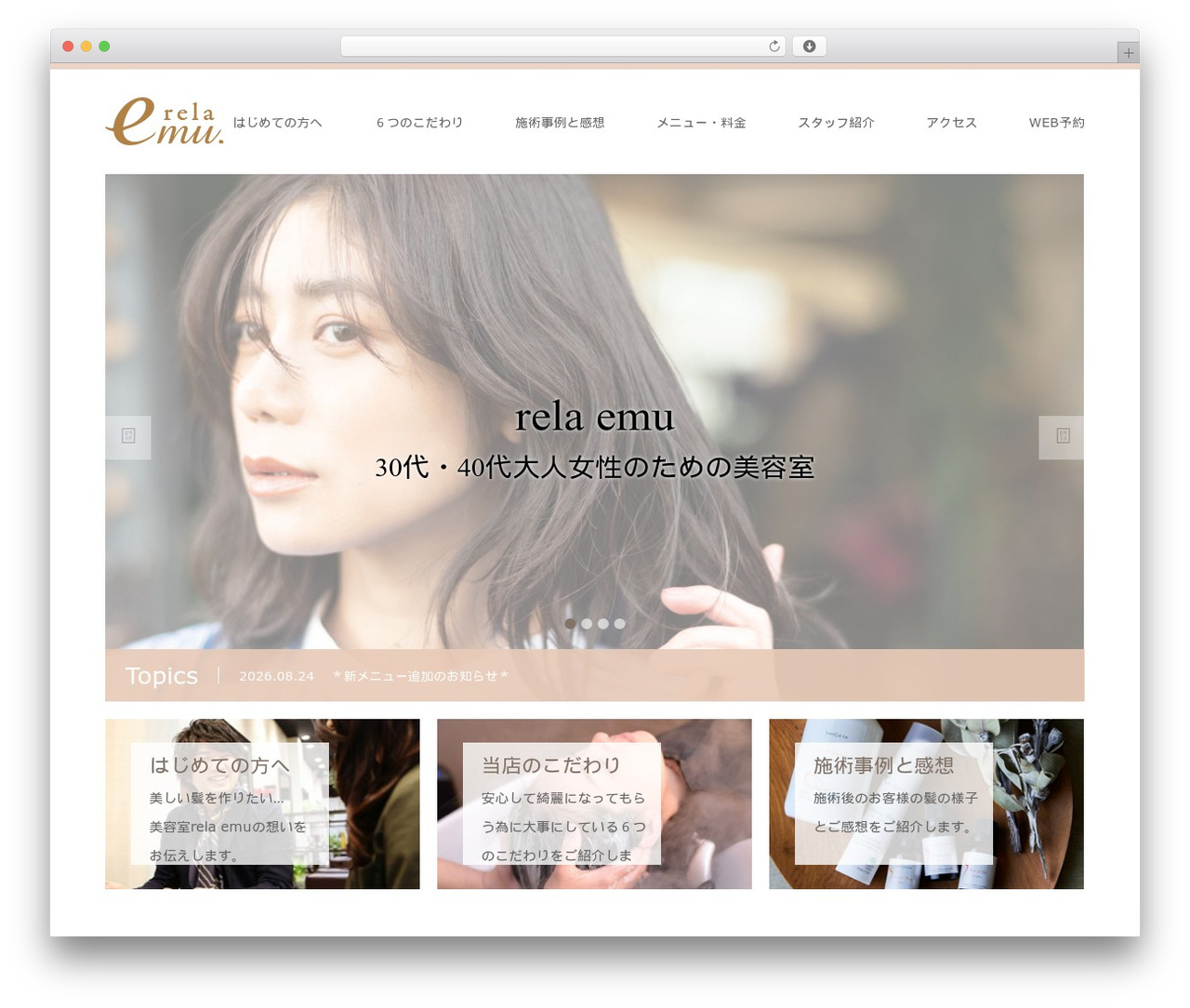 SKIN WordPress theme - relaemu.com