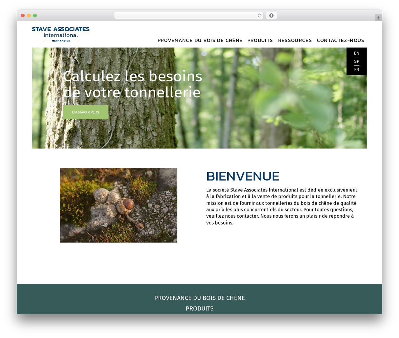 Pro theme WordPress - staveassociatesinternational.com Pro theme WordPress - staveassociatesinternational.com