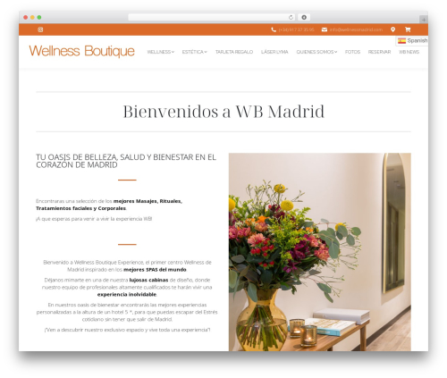 The7 Classic WordPress theme design - wellnessmadrid.com