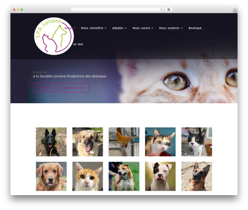Web stat WordPress plugin - spa-lorraine.com