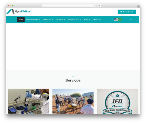 WordPress theme Constico - agroefetiva.com.br