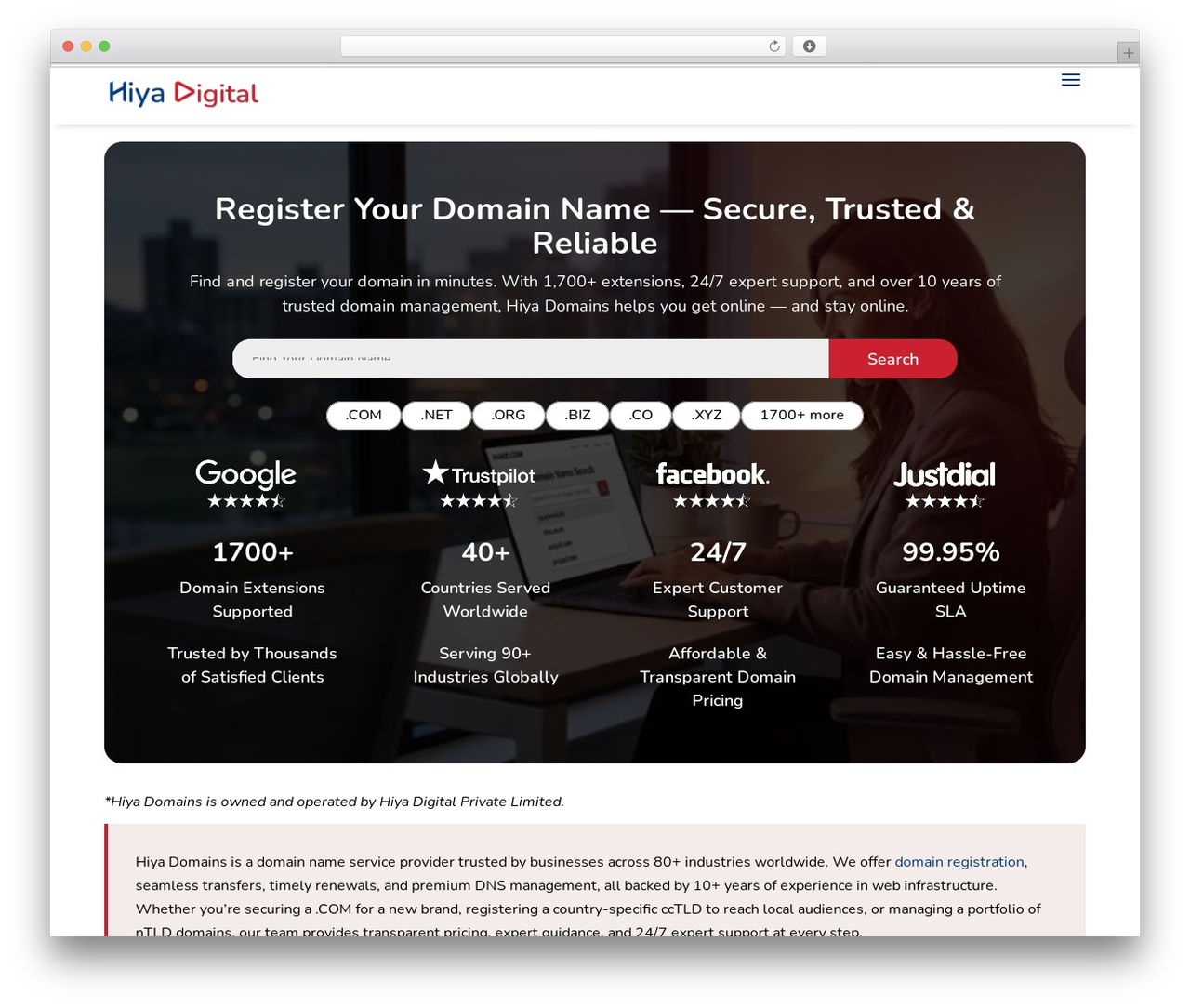 WordPress theme Divi - www.hiya.domains