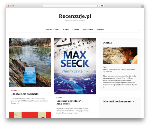 Akella WordPress theme - recenzuje.pl