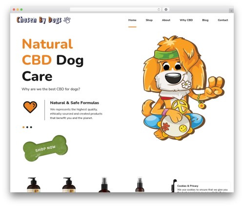 Best WordPress theme Pawsitive - chosenbydogsproducts.com