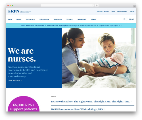 Theme WordPress Dev Pro - www.werpn.com