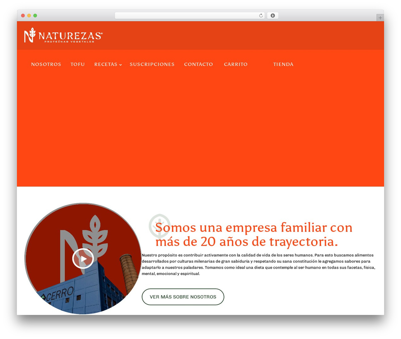 Massive Dynamic Child Theme WordPress theme - naturezas.com.uy