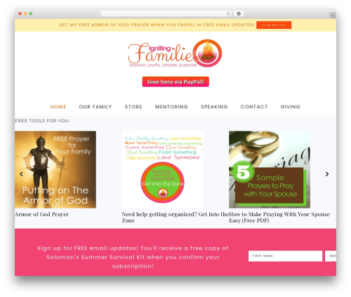 Theme WordPress Captivating Theme - ignitingfamilies.com