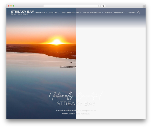 Wm support WordPress plugin - streakybay.com.au