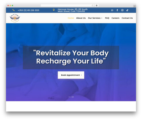 Sb analytics WordPress plugin - theivlounge.ie
