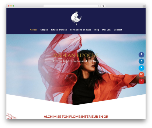 Divi visual footer WordPress plugin - mailanripoche.com