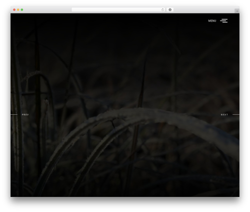 EmilyNolan WordPress theme - lichy.ca EmilyNolan WordPress theme - lichy.ca