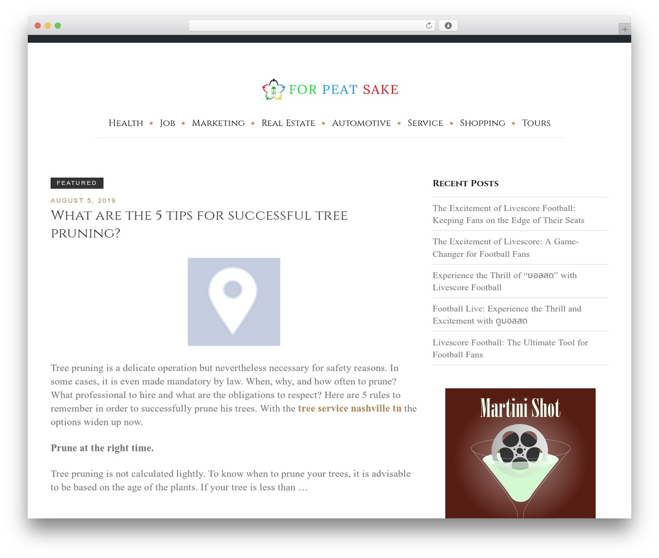 Equable Lite WordPress theme - forpeatsake.com