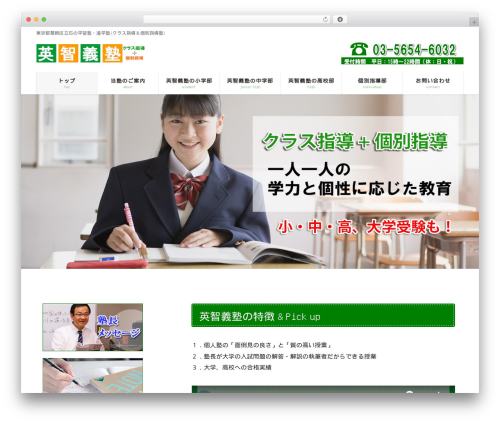 Lightning skin pale WordPress plugin - eichigijuku.com