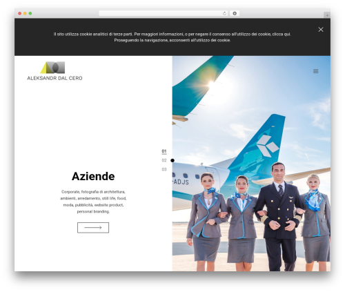 Ottar core WordPress plugin - aleksandrdalcero.com