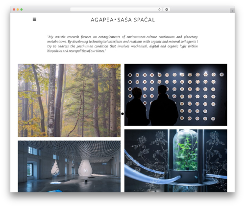 Ottar core WordPress plugin - agapea.si/en