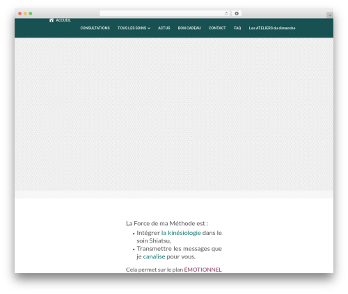 WordPress theme 6temflex - www.gaelle-shiatsu.fr