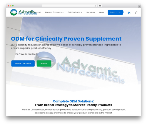 WordPress theme Divi - advantical.com