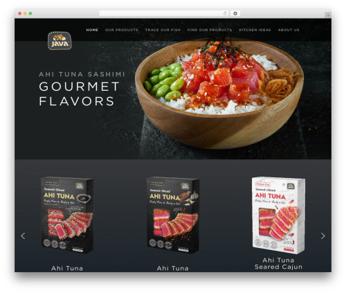 WordPress theme Divi - javafishery.com