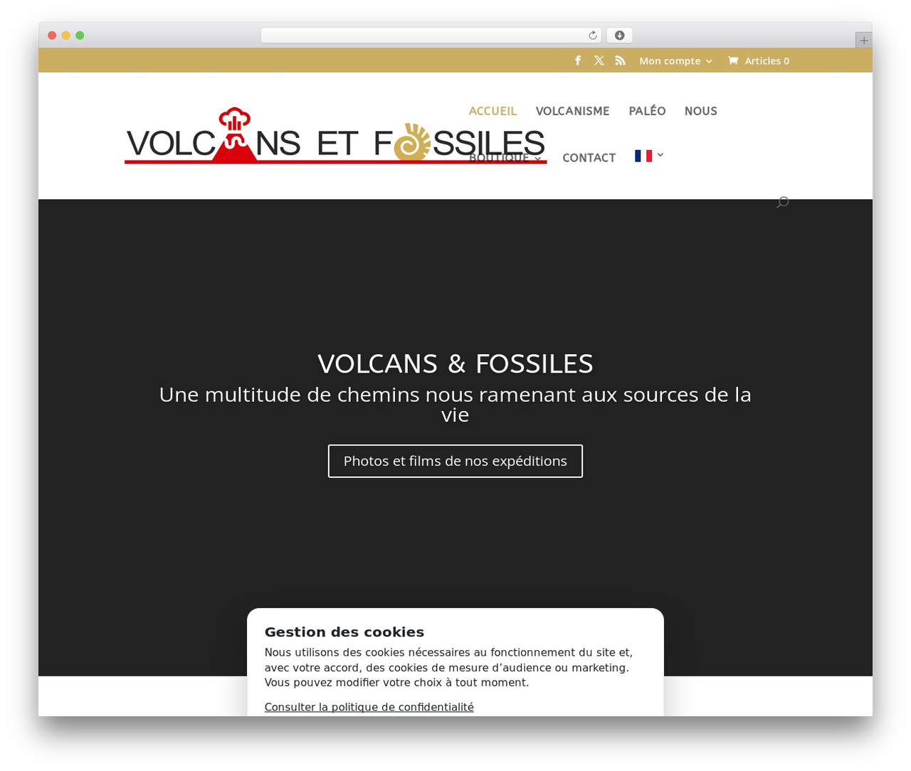 Divi theme WordPress - volcans-et-fossiles.com Divi theme WordPress - volcans-et-fossiles.com