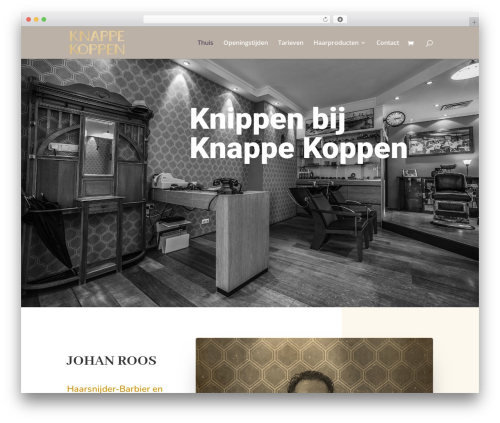 Hide price add to cart button WordPress plugin - knappekoppen.com