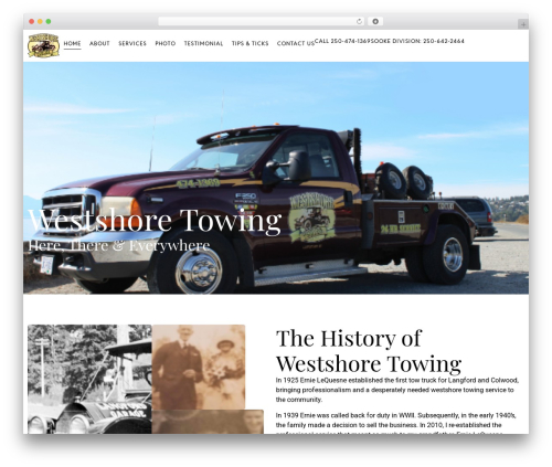 Text unfold for elementor WordPress plugin - westshoretowing.com