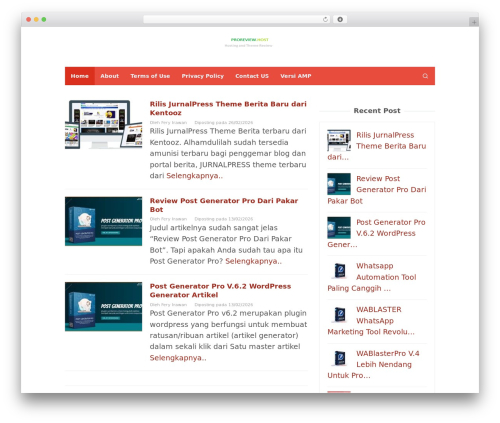 Superfast WordPress theme - proreview.host