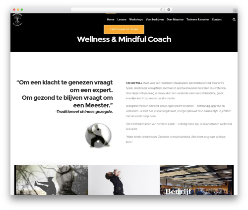 Dfd extensions WordPress plugin - taichiwell.nl