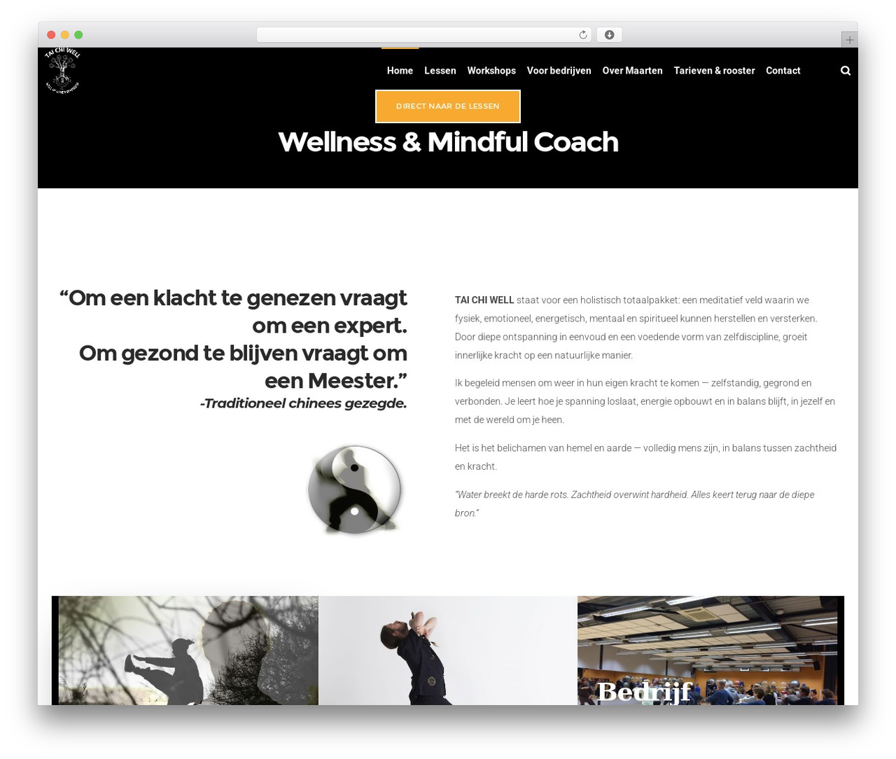 Theme WordPress DFD Native - taichiwell.nl