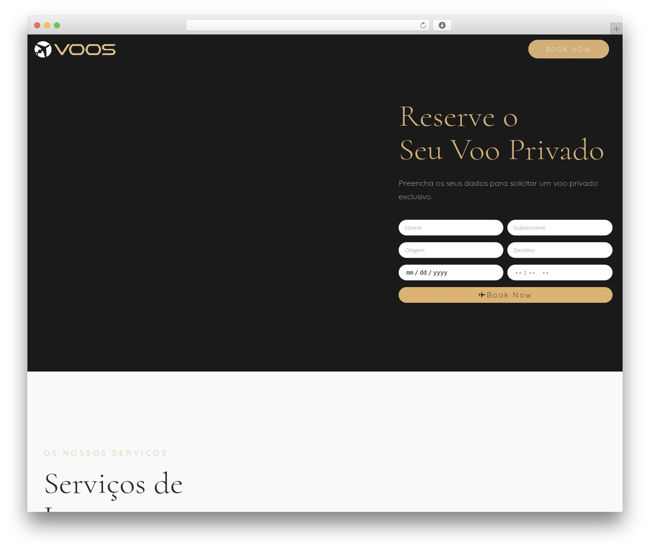 WordPress theme Hello Elementor - voosprivados.com