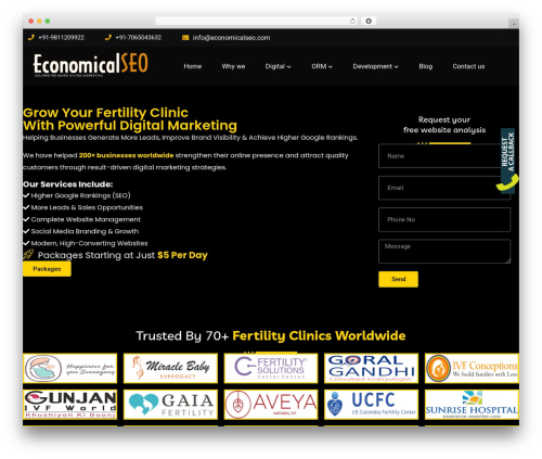 WordPress theme invite - economicalseo.com