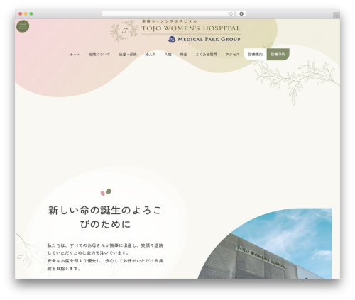 Lightning g3 evergreen WordPress plugin - tojowomens.com