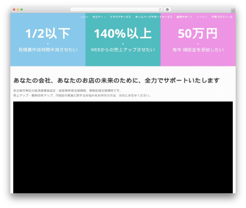 Gdlr portfolio WordPress plugin - access-innovation.com