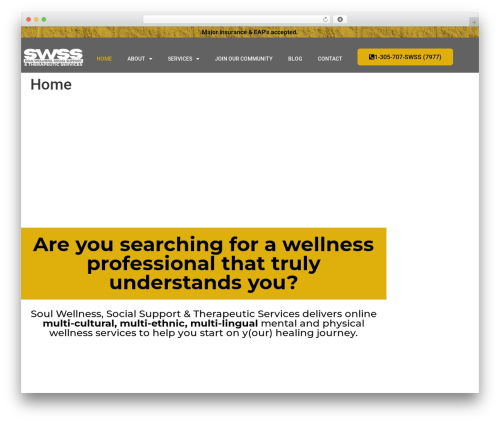 Website accessibility pro WordPress plugin - swsocialsupport.com