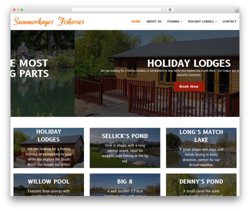 Mediaorb Theme WordPress theme - summerhayesfisheries.com