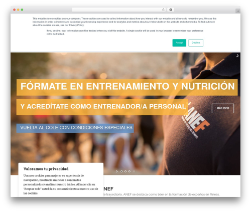 Skilled top WordPress theme - anefead.com